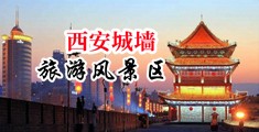 疯骚逼逼视频中国陕西-西安城墙旅游风景区